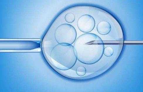 2025年单身女性申请冻卵的条件解说！选择冻卵到底靠不靠谱