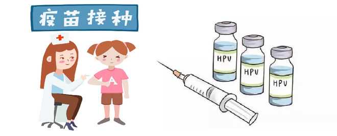 hpv4价疫苗预防哪几种？hpv疫苗有什么用？ 包头打新冠疫苗