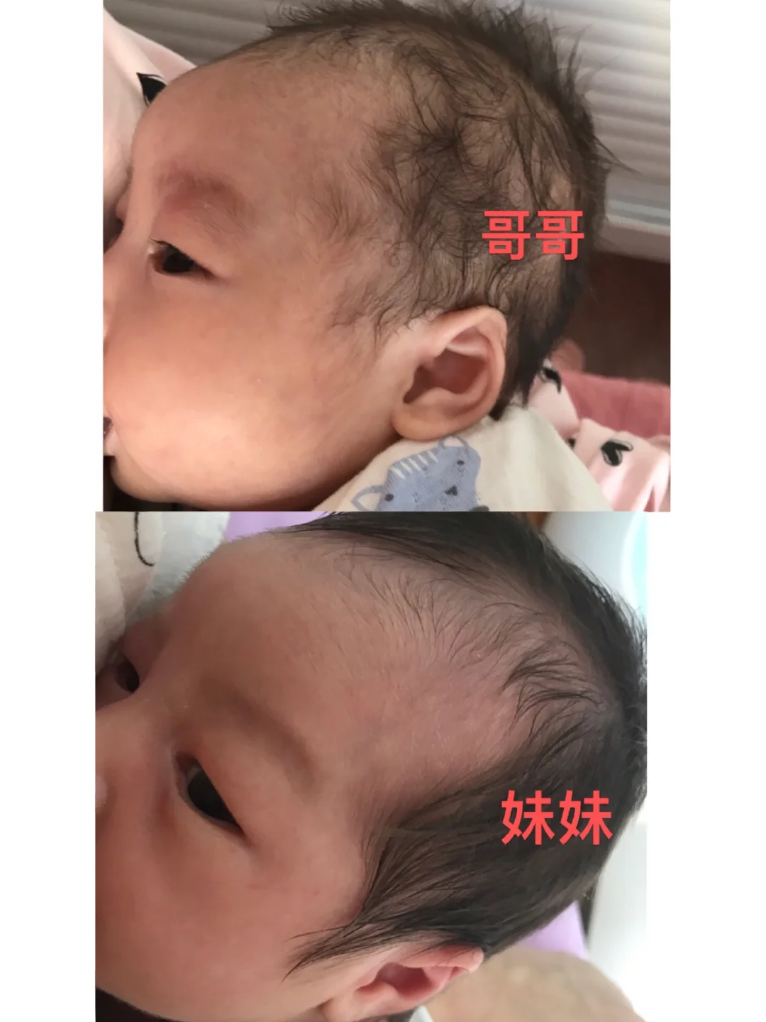 胎梦兑现了 胎梦动物大全孕妇解梦