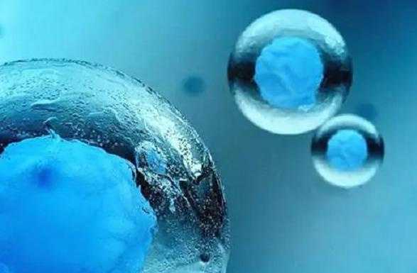 2025年不同地区做试管报销比例！附做试管婴儿报销的申请流程