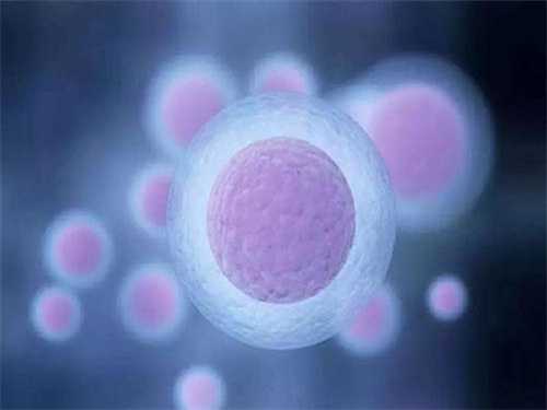 邵逸夫医院养囊费用是怎么算的？2025邵逸夫医院养囊成功率