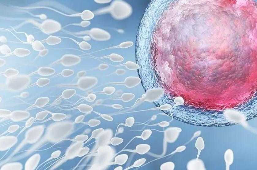 天津供精试管婴儿价格明细讲解！2025供精试管生子费用在4-5万元