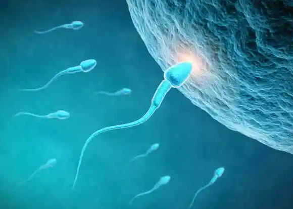 天津供精试管婴儿条件是什么？2025天津供精试管成功率有多少