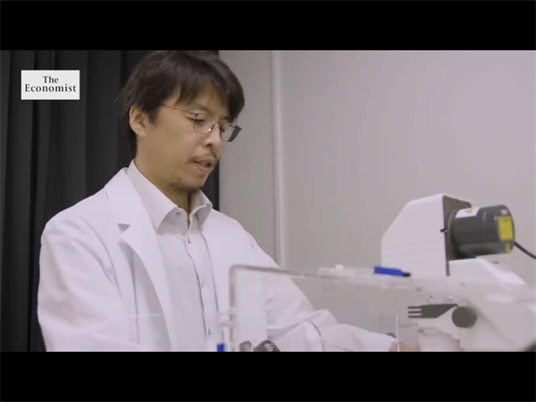 详解贵阳几家正规的试管婴儿医院！能上榜的助孕成功率都不错哦
