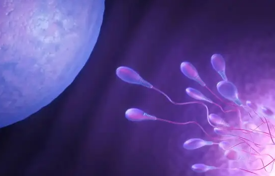 精子库精子做供精试管要满足什么条件？附精子库精子人工授精的流程