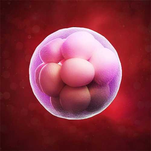 试管空囊能否强行保胎？附试管婴儿空囊强行保胎的后果