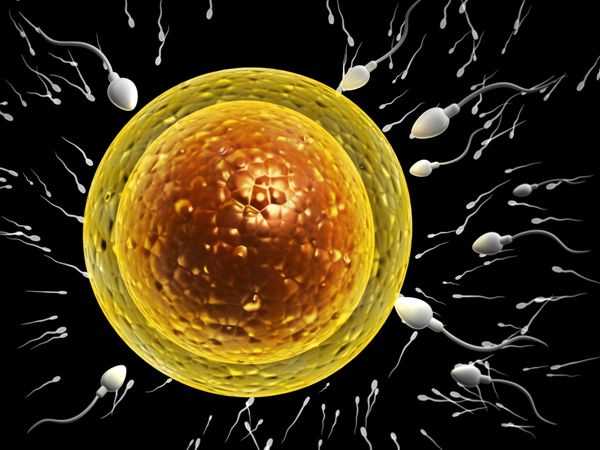 试管周期中关于取精的事项一览！附试管婴儿取精注意事项