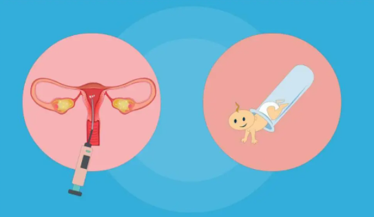 试管囊胚4ab和4bb的主要区别在于？移植囊胚4ab还是4bb好