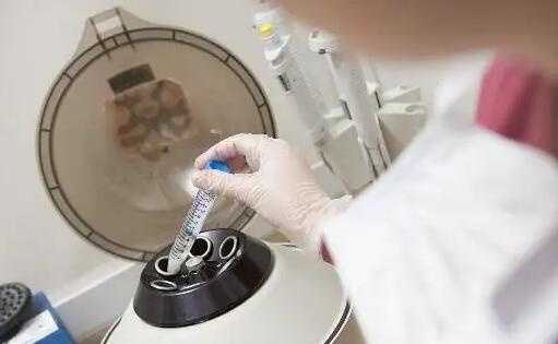 试管微刺激方案取卵质量怎么样？使用微刺激方案促排有什么优点