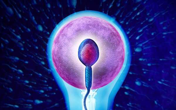 2025长沙私立机构做试管靠谱吗？附长沙正规供卵试管医院名单汇总