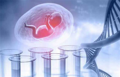 做试管婴儿有没有必要请长假？附一个试管周期的时间安排