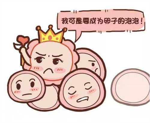 试管囊胚4bb和4bc质量对比！附移植囊胚4BB和4BC的成功率