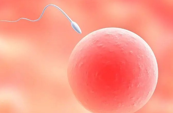 河南供精试管婴儿医院有哪些？公布2025河南人类精子库医院名单详情