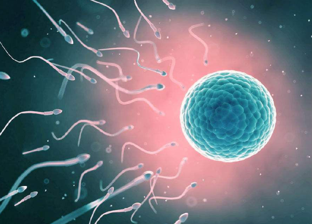 精子碎片率23做二代试管成功率高吗？二代试管对精子有什么要求