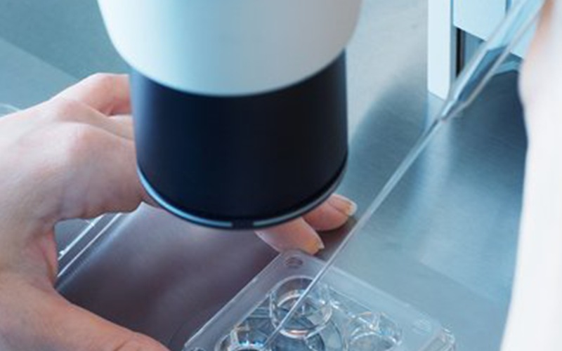 沃卵宝能不能促进卵泡发育？做试管婴儿吃沃卵宝的效果盘点