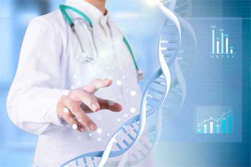 五天囊胚3bb质量好不好？附试管移植五天囊胚3bb的成功率