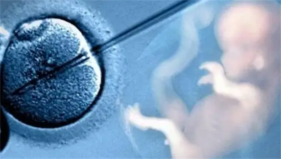 试管移植后吃什么有助胚胎着床？附有利于胚胎着床的食物一览