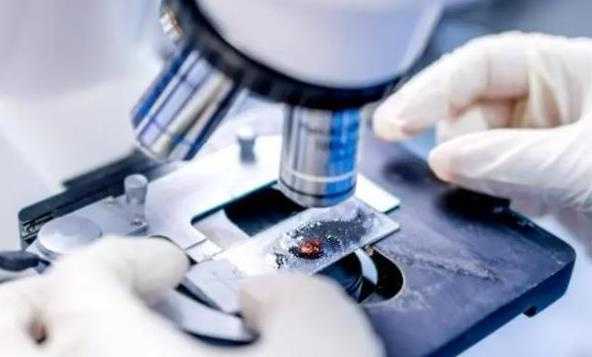 试管移植后身体的症状表现讲解！试管移植后什么时候能测出着床