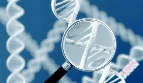 中信湘雅医院二代试管婴儿具体费用！2025年需要准备5万元