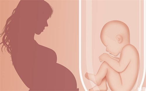 2025去俄罗斯做试管医生怎么选择？俄罗斯做试管婴儿哪个医生好