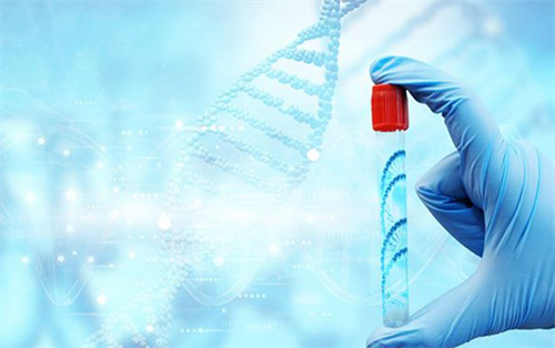 山大二院试管婴儿建档流程更新！2025年山大二院做试管多少钱