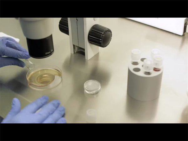 格鲁吉亚做试管怎么避免被骗？2025格鲁吉亚做试管婴儿的防骗指南