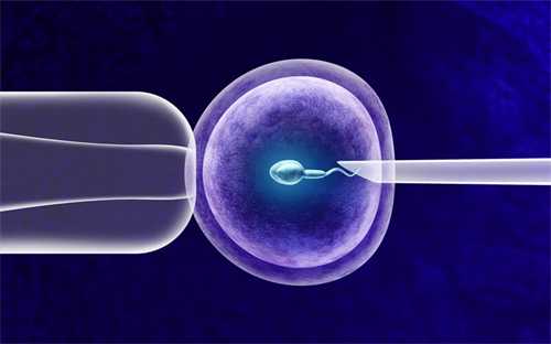 试管婴儿促排当月移植能否成功？附促排当月胚胎移植的条件