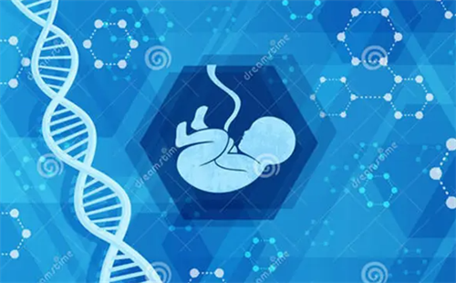 三代试管pgs筛查会淘汰多少囊胚？试管PGD技术需要多少个囊胚