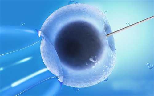 做试管婴儿怎么防止卵泡早排？附促排期间防止卵泡早排的方法