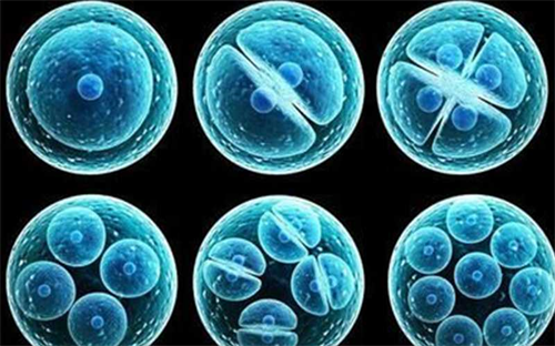试管移植冻胚自然周期的流程一览！公布自然周期冻胚移植的条件