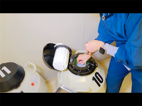 泰国试管不同年龄段的费用说明！2025赴泰做试管婴儿的费用明细