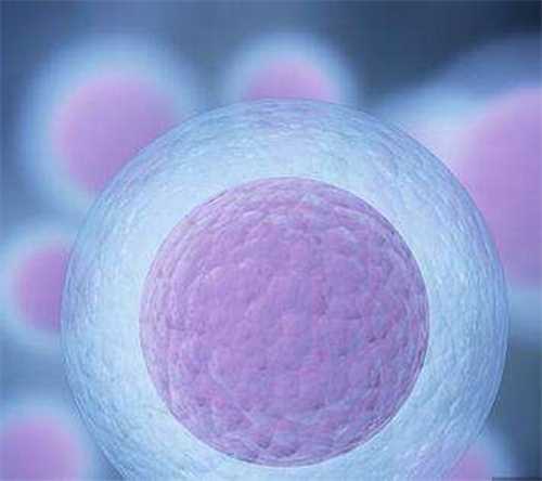 高龄美国自卵&供卵试管的成功率！详述高龄做试管婴儿的注意事项