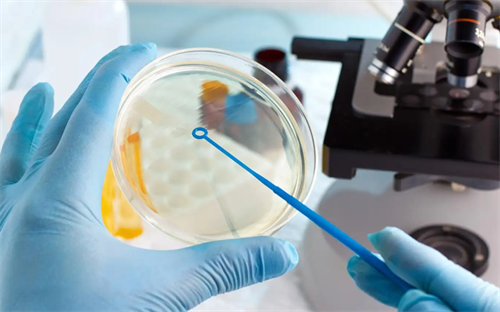 试管婴儿B级胚胎的质量怎么样？揭晓导致B级胚胎的原因