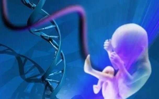 2025北京试管助孕条件一览！北京试管婴儿要什么手续才能进行