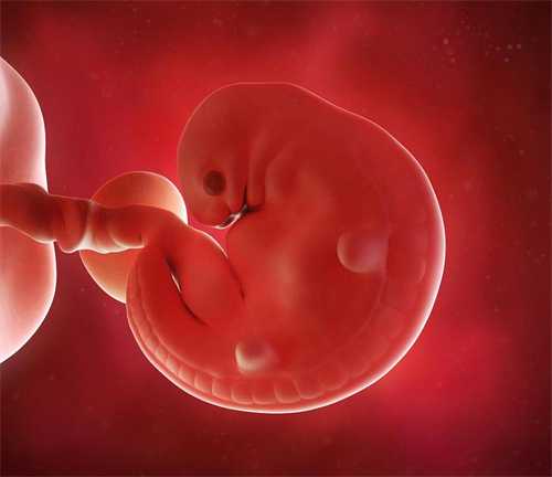 试管婴儿二次移植费用详解！了解2025年最新4大助孕费用构成