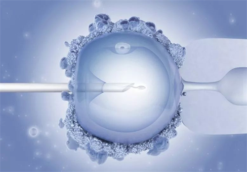 试管供卵医院选择指南：2025年费用与成功率解析