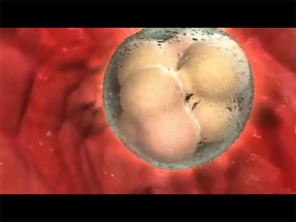 评估香港供卵医院的关键因素！附2025供卵试管的实际流程与体验