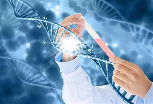 三代试管性别筛查的现代应用！2025年家庭生育决策的实用探讨