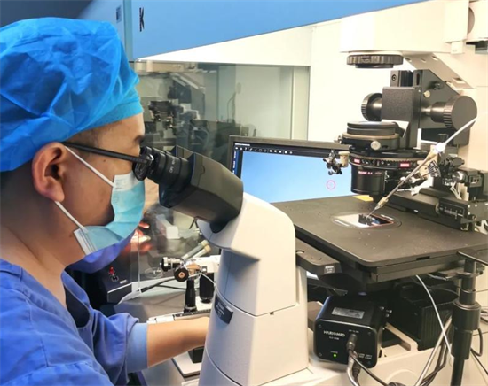 三代试管婴儿取卵个数探讨！个性化方案如何影响生育结果