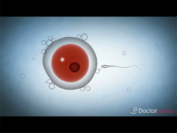 选择上海三代试管的考量因素！公布实现成功生育的实用策略