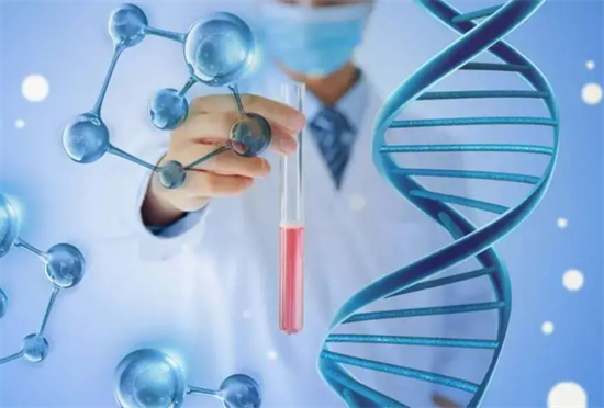 第三代试管婴儿服务解析：2025年选择与费用指南！