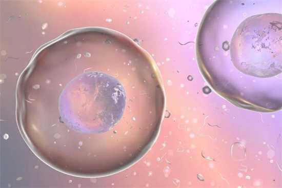 单身人群生育新选择：2025年三代试管婴儿的全面指南