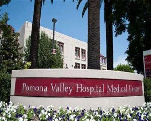 第三代试管流产率全面剖析：2025年安全生育的科学路径