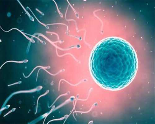 安徽三代试管过程全解析：步骤、成功要素与费用指南