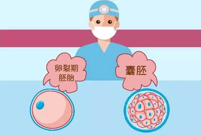 邢台三代试管费用全解析：2025年价格指南与实用建议