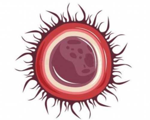 深圳三代试管医保政策落地，家庭生育成本显著降低