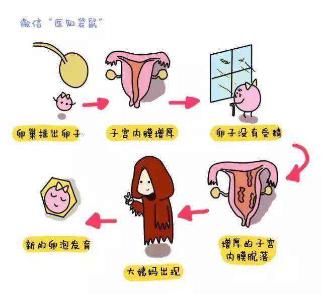 经期可以做试管前期检查吗,试管前期检查在月经期可以吗 经期血压会下降吗