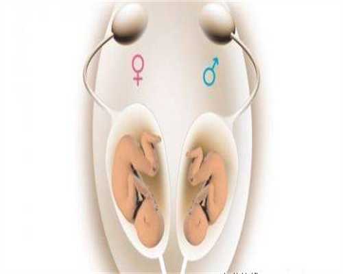 珠海供卵试管一次费用探究：具体花费与影响因素详解