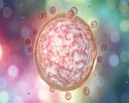 国内供卵费用深度解析：全面了解成本构成与省钱之道