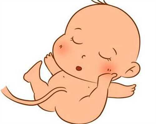 武汉试管供卵公司：选择服务的关键因素与法律合规